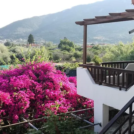 Marina Παραλία Καλλονής